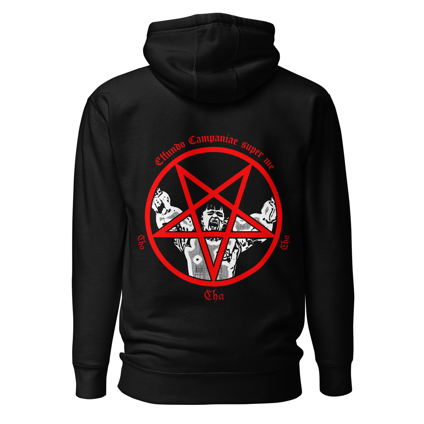 Chaatananpalvoja huppari